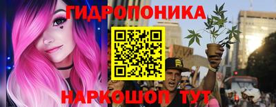 альфа пвп Кингисепп