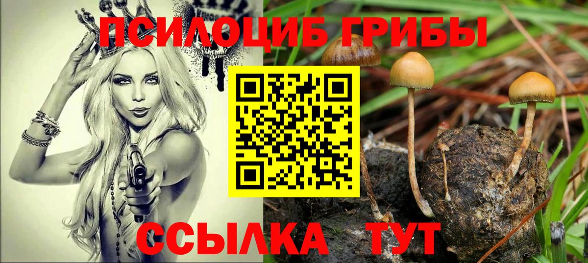 Галлюциногенные грибы Psilocybine cubensis Кисловодск